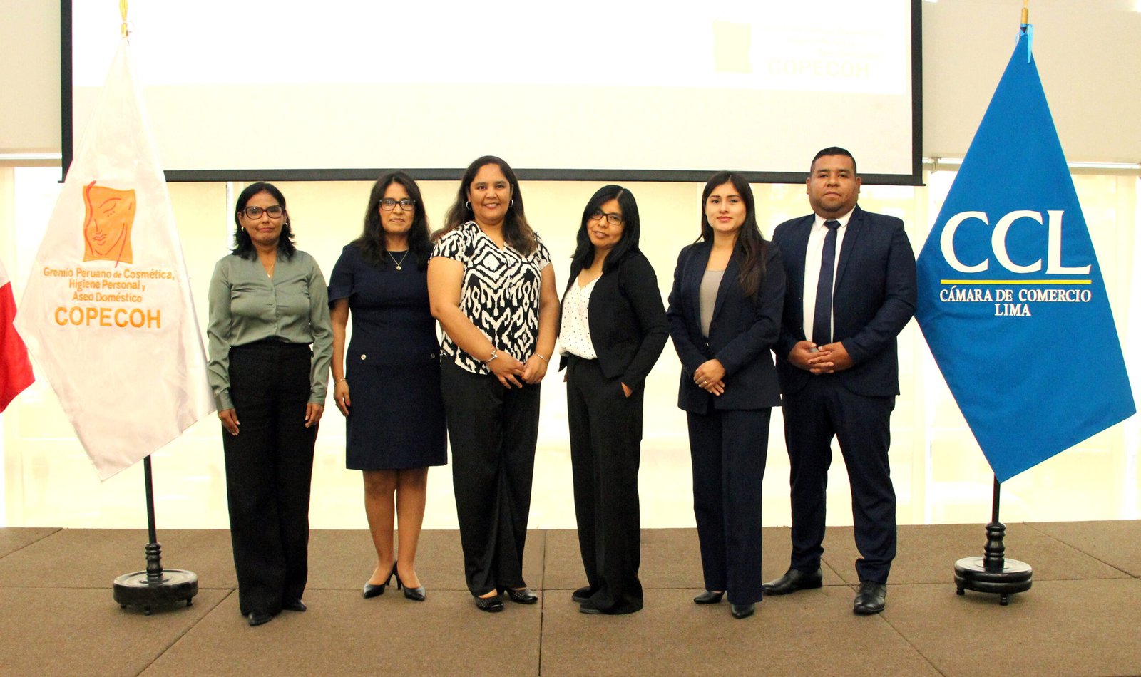 Elección de la Junta Directiva del Sector de Productos de Higiene Doméstica y Productos Absorbentes de Higiene Personal (PHD – PAHP).